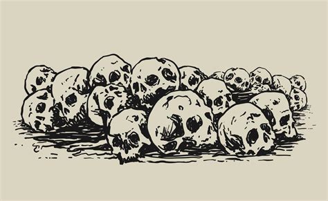 Pile of Human Skulls 16416964 Vector Art at Vecteezy