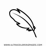 Quill Coloring Pages  Ultra sketch template