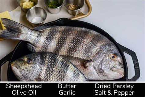 Grilled Sheepshead Fish Recipe | Deporecipe.co