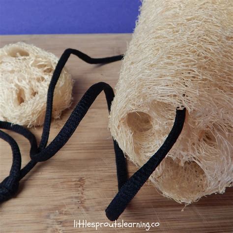 Luffa Fiber - Taka Vegetable