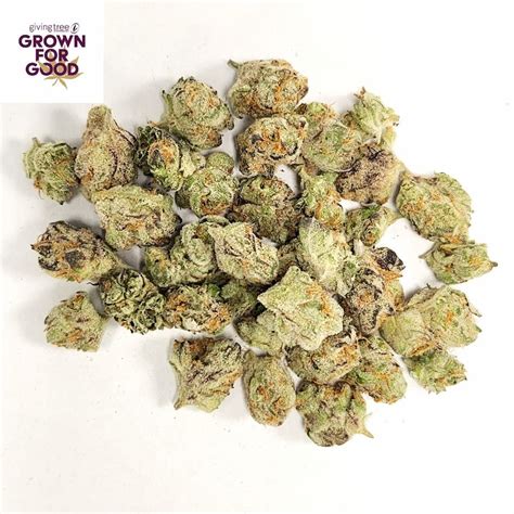 Kimbo Kush - A heavyweight Indica-dominant hybrid - Giving Tree ...