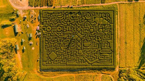 7 Amazing Aerial Pictures of Corn Mazes in the U.S. - Guideposts