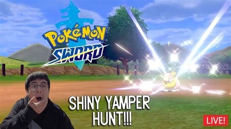 SHINY YAMPER HUNT & SHINY BREEDING LITTEN IN POKEMON SWORD (Part 6 ...