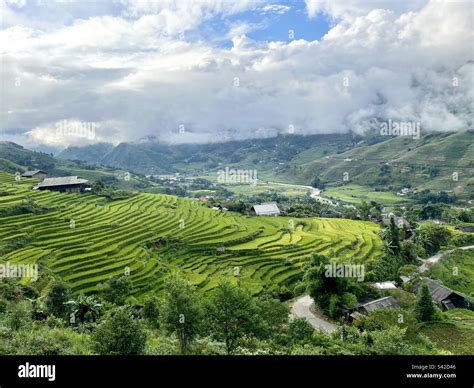 The rice terraces in Vietnam Stock Photo - Alamy