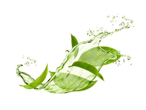 Herbal drink wave splash with green tea leaves 23555082 Vector Art at ...