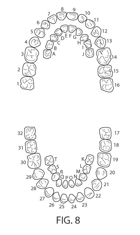 Us Dental Tooth Numbering System Chart