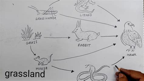 How To Draw Easy Grassland - Design Talk