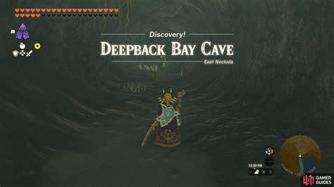 Deepback Bay Cave - The Legend of Zelda: Tears of the Kingdom Database ...