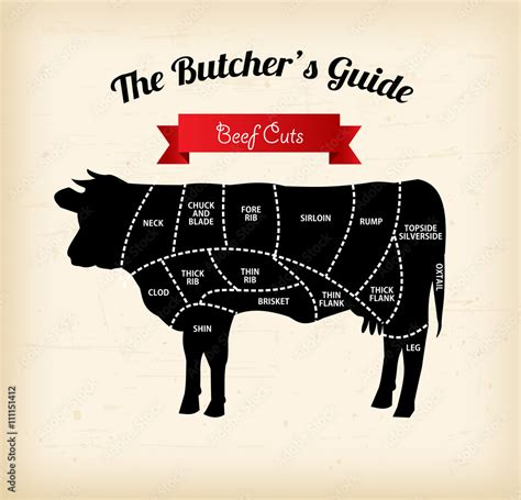 Beef cuts vector illustration Stock Vector | Adobe Stock