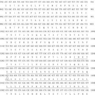 Colocalization of zebrafish TRIF with a Golgi apparatus marker gene.... | Download Scientific ...