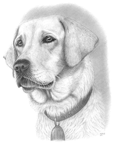 Dog Pencil Drawing Easy at PaintingValley.com | Explore collection of Dog Pencil Drawing Easy