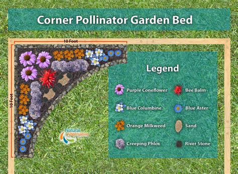 How To Build A Pollinator Garden | Garden planning, Plants and Gardens