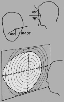 Size and shape of the human field-of view (FOV), shown for the left eye ...