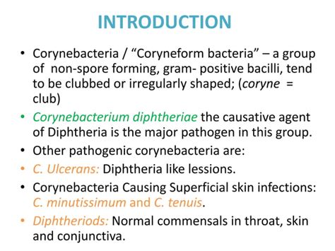 Corynebacterium | PPT