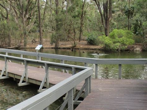 Bundaberg Botanic Gardens boardwalk renewal | Our Bundaberg Region