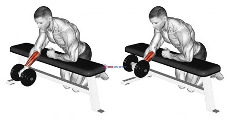 Dumbbell Over Bench One Arm Reverse Wrist Curl - Home Gym Review