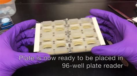 Co-culture Plate Experimental Setup - YouTube