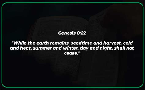 20 Best Bible Verses About The Harvest (With Commentary) - Scripture Savvy