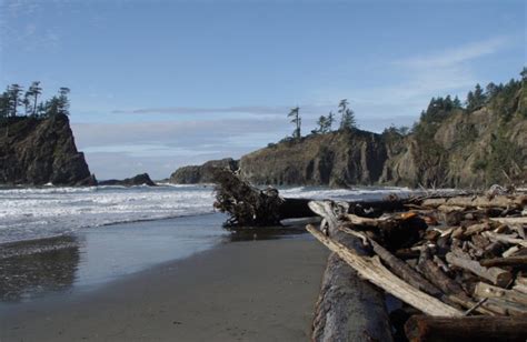 Quileute Oceanside Resort (La Push, WA) - Resort Reviews ...