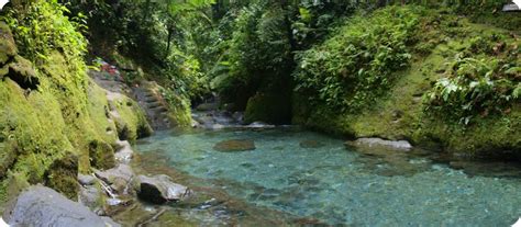 FULLDAY TRIP KOLAM ABADI & TEROH TEROH WATERFALL RUMAH GALUH , LANGKAT BINJAI – Go Adventure