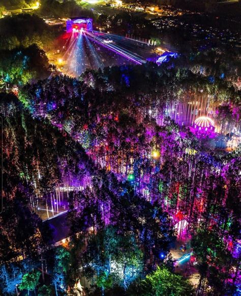 Electric forest festival : r/pics