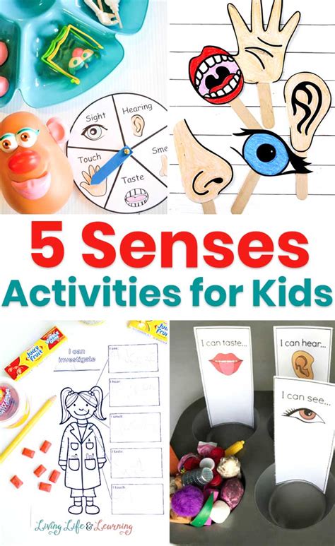 5 Senses Activities for Kids