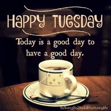 10 Tuesday Coffee Quotes And Sayings | Happy tuesday morning, Tuesday quotes good morning, Good ...