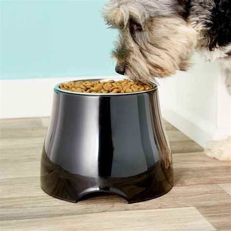 Dogit Elevated Dog Bowl, Black, Large, 3.75 cups - Chewy.com