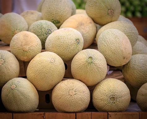 Indonesia prohibits rockmelons from Australia after fourth death ...