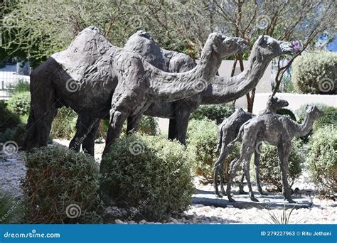 Outdoor Exhibits at National Museum of Qatar in Doha, Qatar Editorial Stock Photo - Image of ...