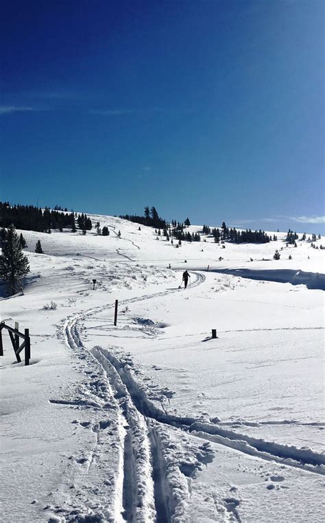 Yellowstone Cross-Country Skiing 101 Visit Yellowstone, Yellowstone ...