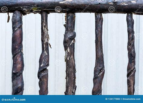 The old wood fence stock photo. Image of morning, frence - 134177880