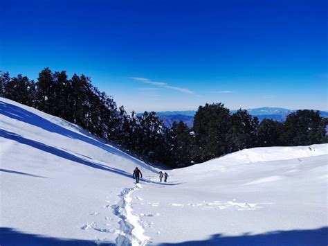 5 Reasons To Do Nag Tibba trek