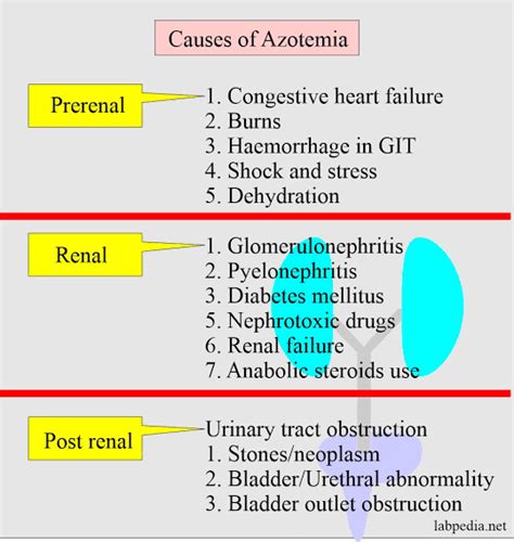 Azotemia causes - MEDizzy