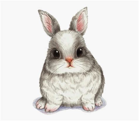 Drawing Watercolor Painting Art Image - Fat Rabbit Cartoon Drawing , Free Transparent Clipart ...