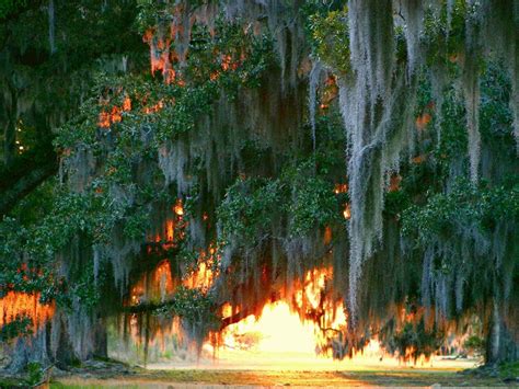 Parks of the Greater New Orleans region in Louisiana