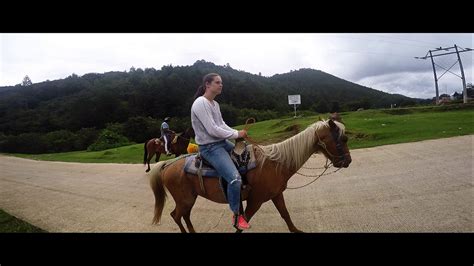 Horse Riding @Mexico - YouTube