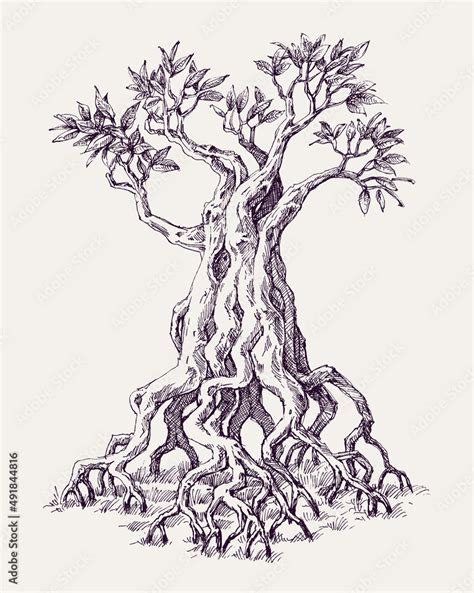 Mangrove tree roots hand drawing vector de Stock | Adobe Stock