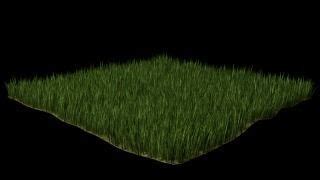 3D disjunct FREE GRASS | CGTrader