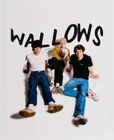 The Wallows Band Photograph by Savannah Buring - Fine Art America