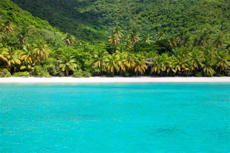 A Beach Lover's Guide to 4 Best Beaches In Tortola