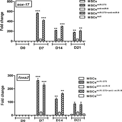 Expression of definitive endoderm markers. qRT-PCR analysis of... | Download Scientific Diagram