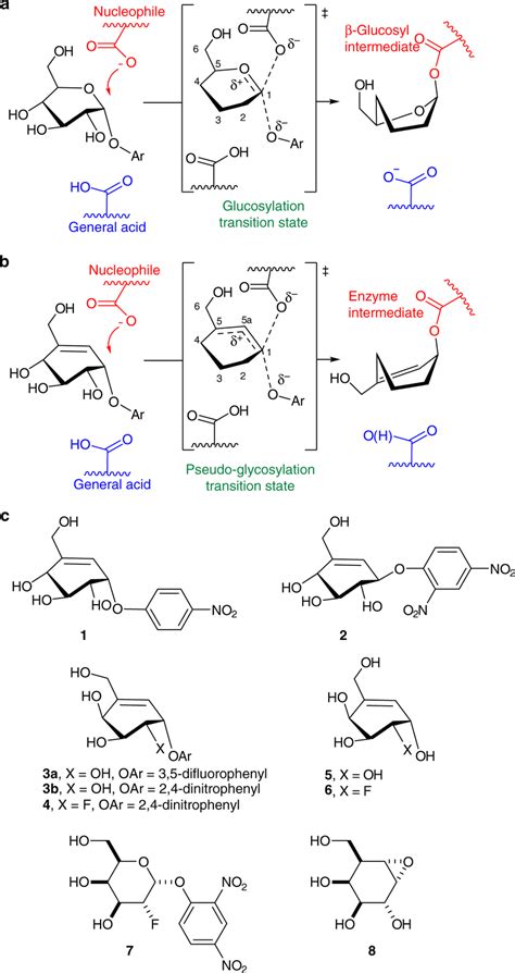 Glycoside hydrolase catalysis and chemical structures for select ...