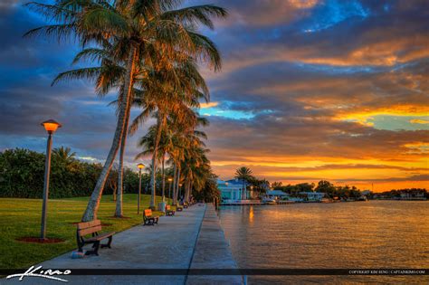 Red Reef Park Golf Course Coconut Tree Boca Raton | HDR Photography by Captain Kimo