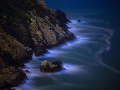 7 Places You Can See the World's Most Beautiful Bioluminescent Bays | Beach place ...