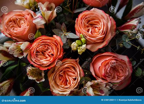 Dark Bouquet of Gorgeous Pink Roses Stock Image - Image of bunch ...