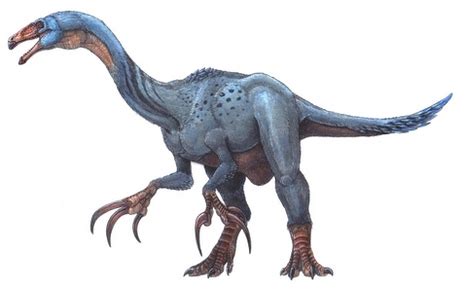 Therizinosaurus - Everything Dinosaurs