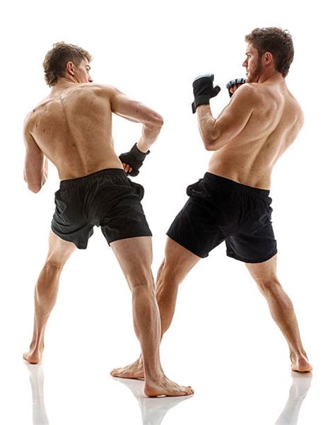 540+ Boxing Face To Face Stock Photos, Pictures & Royalty-Free Images - iStock