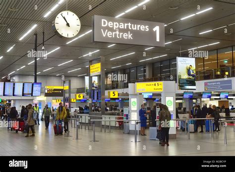 Amsterdam Airport Live Arrivals - D Antoinette Patterson