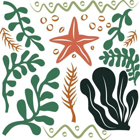 hand drawn sea star and algae collage 25343456 Vector Art at Vecteezy